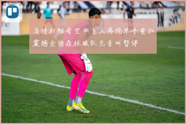 马特科维奇空中飞人再现单手重扣震撼全场森林狼队无奈叫暂停