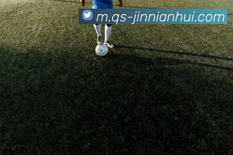 今年会官网发展历程